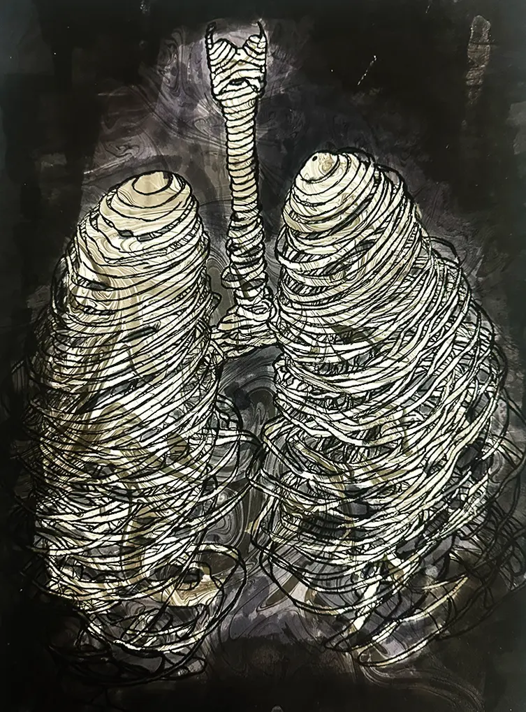 lungs drawing
